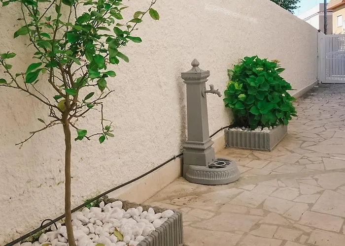 Summer * Νετούνο